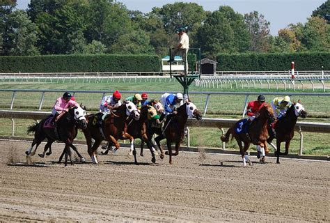 belmont stakes 2021 line up.